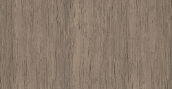 Woods