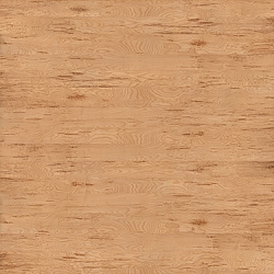 w-012 birch masers
