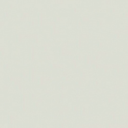 RAL 9002