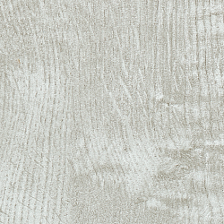 GP 1856
