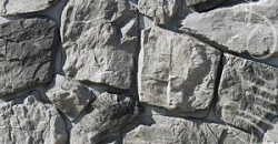 Рока