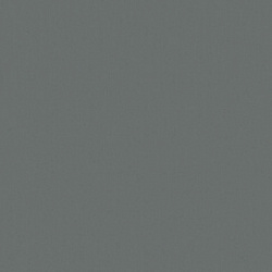 RAL 7005